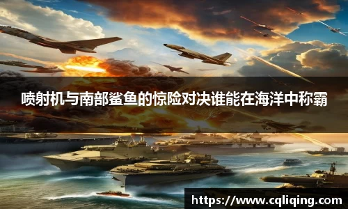 喷射机与南部鲨鱼的惊险对决谁能在海洋中称霸